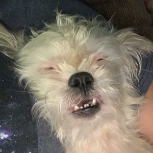 Meet your Posher, Jill